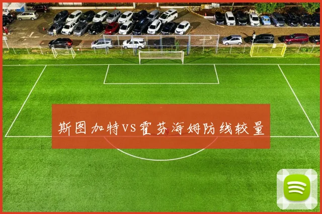 斯图加特vs霍芬海姆防线较量